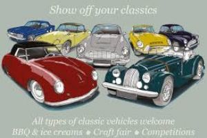 Apley Farm Classic Car Show